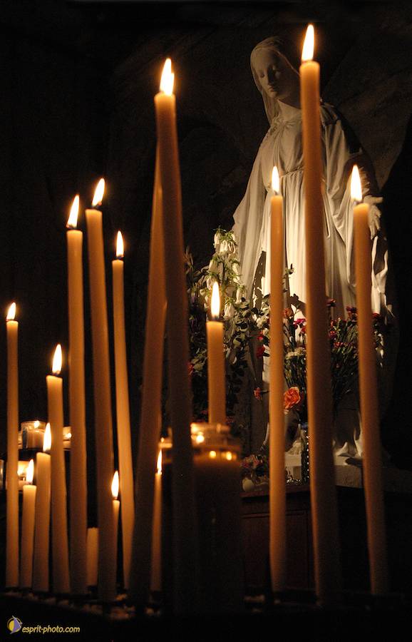 Nom de l'image : DSC_2458_(c)Norbert-JUNG — Description :